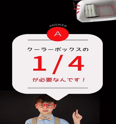 コールマン エクストリームクーラー28QT // ロゴス 倍速凍結氷点下パック