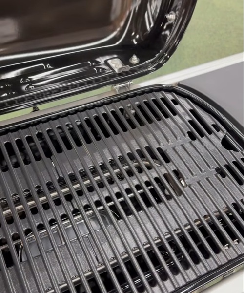 Weber traveler®︎